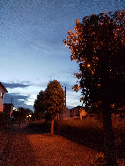 f:id:hrkhogitivu:20200908132327j:image f:id:hrkhogitivu:20200908132327j:image