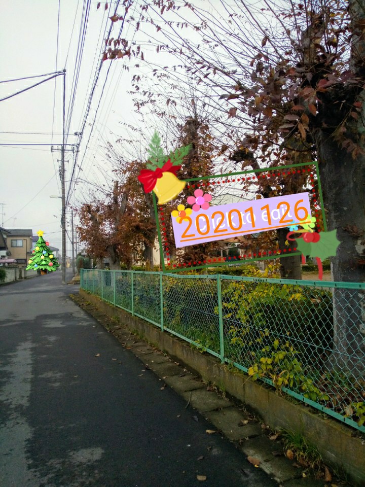 f:id:hrkhogitivu:20201128024700j:image f:id:hrkhogitivu:20201128024700j:image