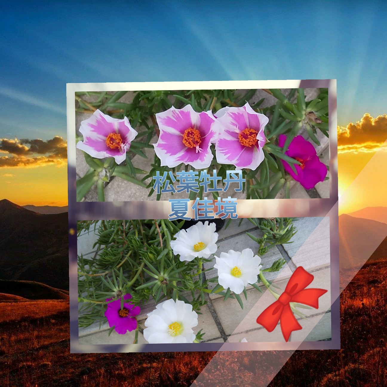 f:id:hrkhogitivu:20210727165308j:plain