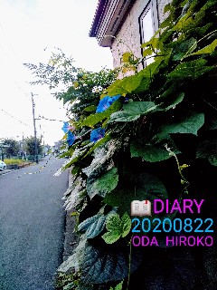 f:id:hrkhogitivu:20211031030830j:image