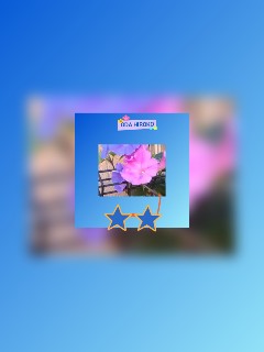 f:id:hrkhogitivu:20211113145539j:image