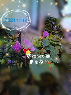 f:id:hrkhogitivu:20211113145722j:image