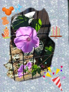 f:id:hrkhogitivu:20211113150139j:image