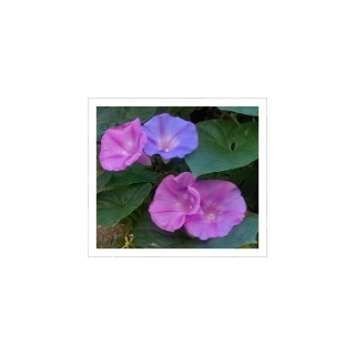 f:id:hrkhogitivu:20211113150328j:image