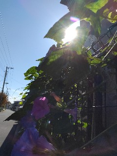 f:id:hrkhogitivu:20211117055413j:image