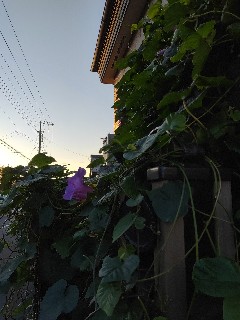 f:id:hrkhogitivu:20211118091152j:image f:id:hrkhogitivu:20211118091152j:image