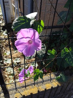 f:id:hrkhogitivu:20211229071308j:image f:id:hrkhogitivu:20211229071308j:image