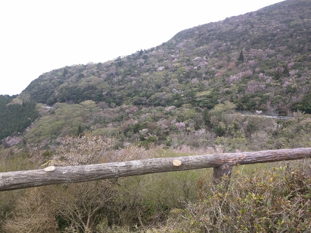 f:id:hrktksm:20160410094157j:plain