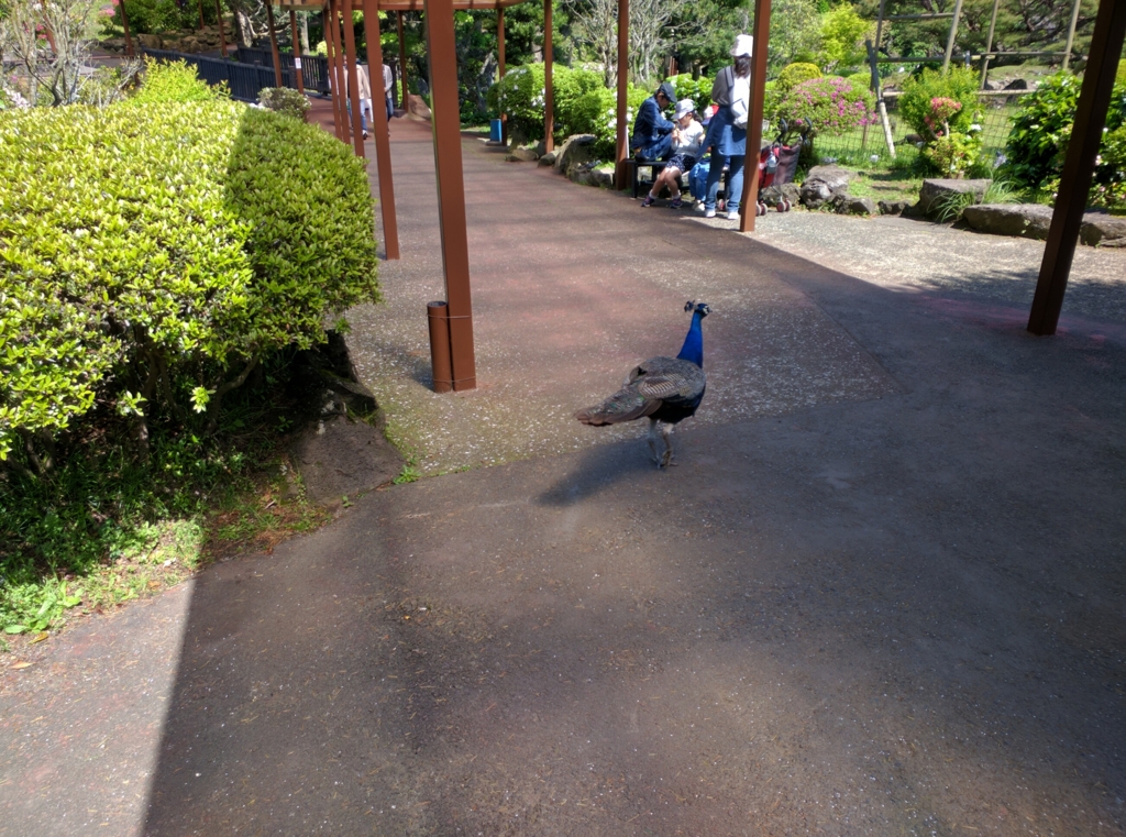 f:id:hrktksm:20160505200532j:plain
