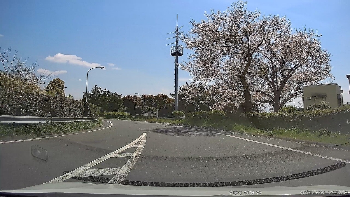VIOFO A119 V3で桜を撮影