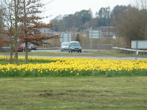 f:id:hrkue:20070308175458j:image f:id:hrkue:20070308175458j:image