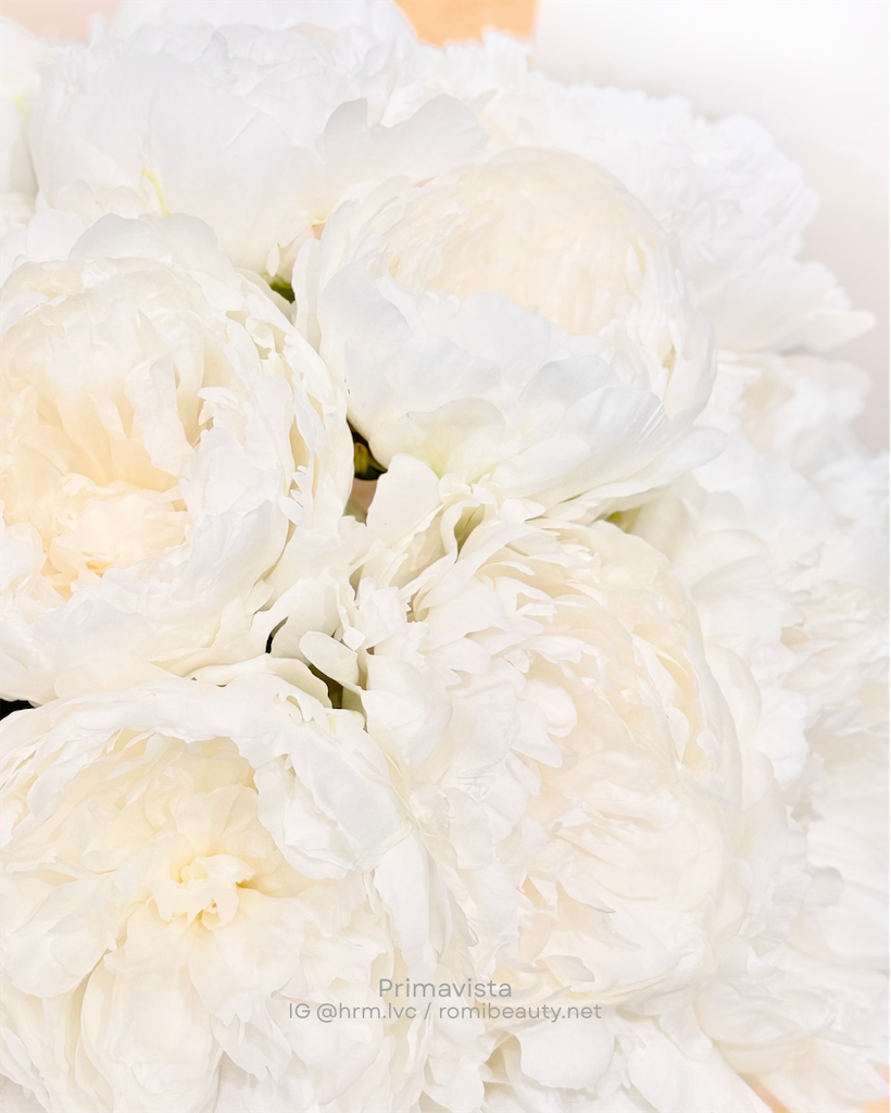 f:id:hrm-beauty:20250709100720p:image