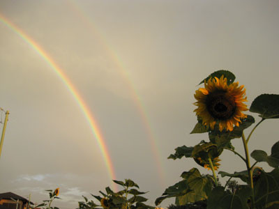 f:id:hrmoon:20090719214755j:image