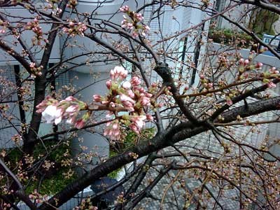 f:id:hrmoon:20100328105355j:image