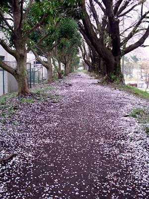 f:id:hrmoon:20100407225853j:image f:id:hrmoon:20100407225853j:image