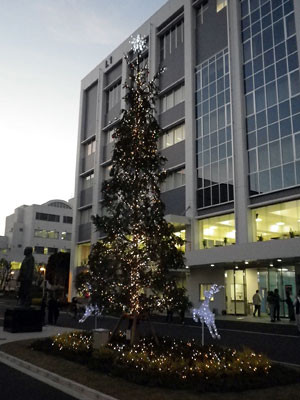 f:id:hrmoon:20101201165245j:image