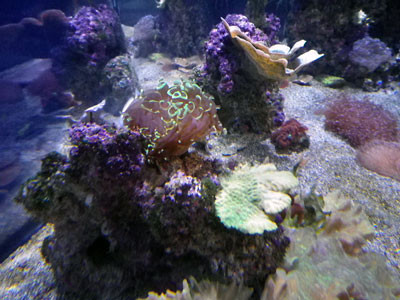 f:id:hrmoon:20101223140638j:image