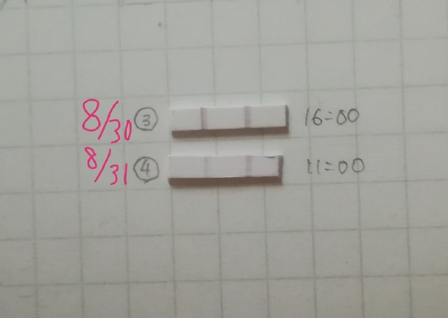 f:id:hrnzm:20180831121733j:image f:id:hrnzm:20180831121733j:image