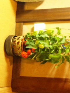 f:id:hrppt366:20110711224851j:image