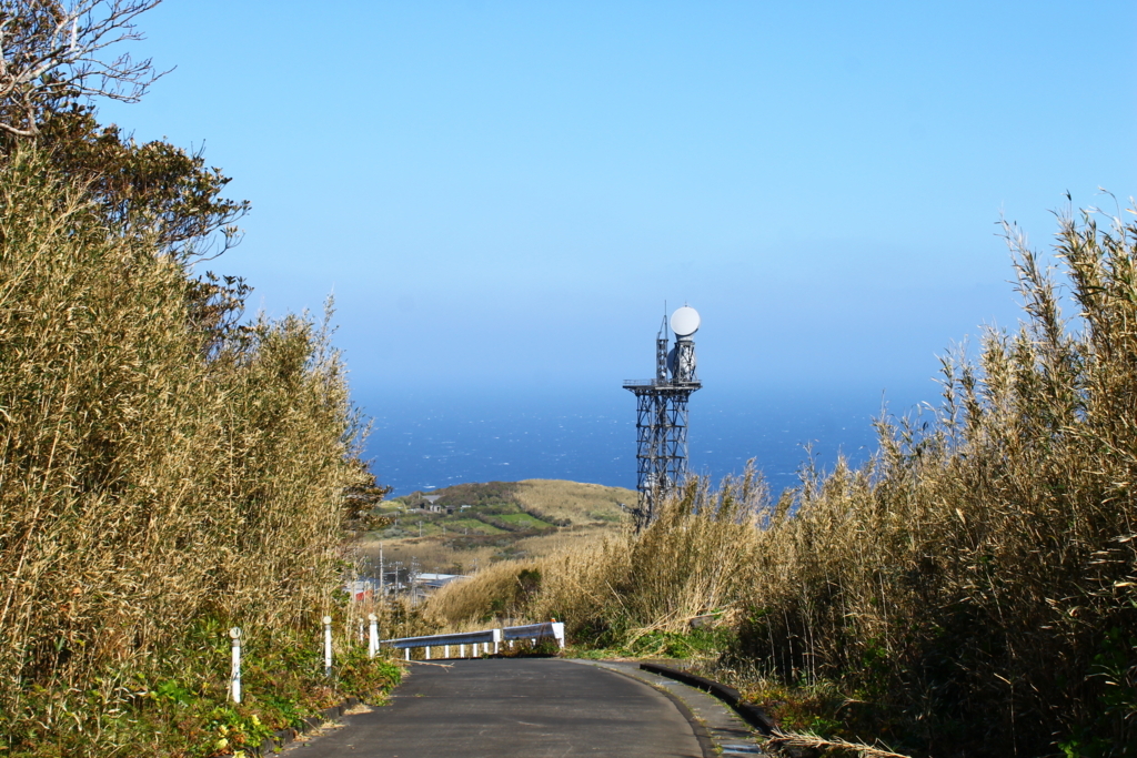 f:id:hrrtan:20180315201547j:plain