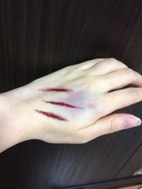 画像6