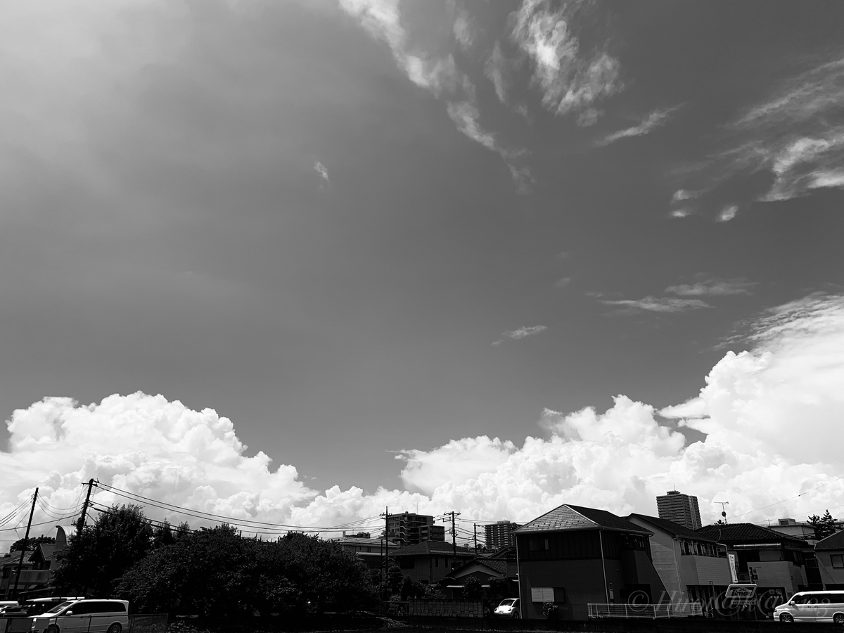 f:id:hrtk_1832_izm:20190814191303j:plain