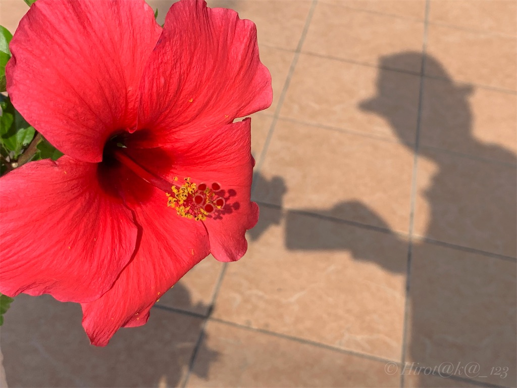 f:id:hrtk_1832_izm:20190824231837j:image