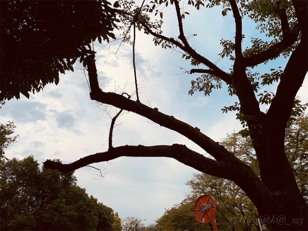f:id:hrtk_1832_izm:20190824231848j:image