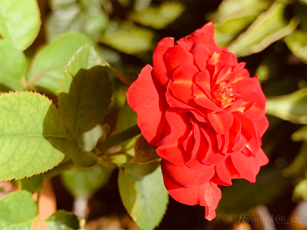 f:id:hrtk_1832_izm:20190824231908j:image