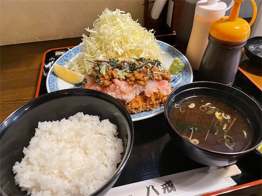 f:id:hrts-110:20210312223913j:image