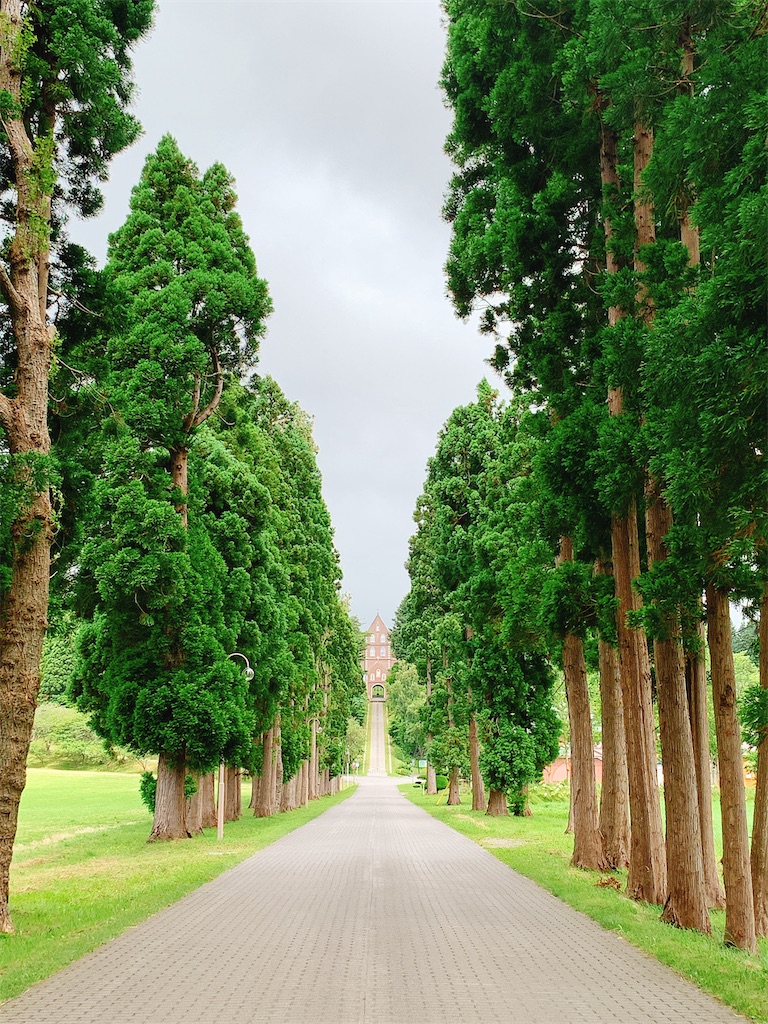 f:id:hrts7rkka17823:20200827204411j:image