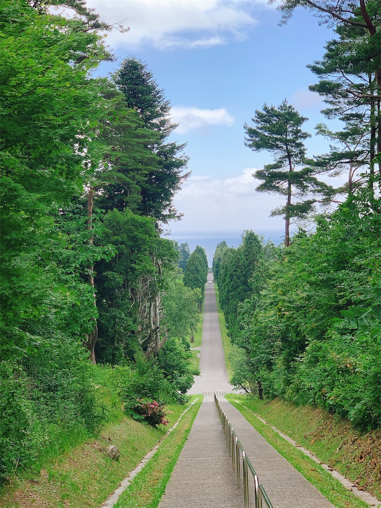 f:id:hrts7rkka17823:20200827205051j:image