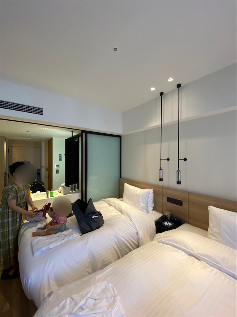 f:id:hrts7rkka17823:20201119162230j:image