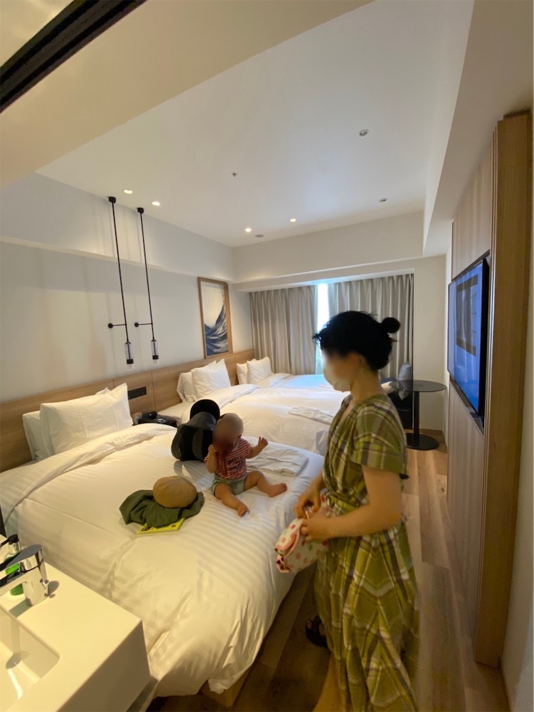 f:id:hrts7rkka17823:20201119162237j:image