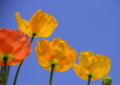 20120505115742