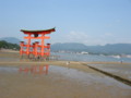 [風景]厳島神社