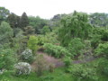 [風景]少林山達磨寺