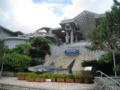 [風景]ちゅら海水族館