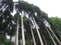 [風景]永平寺口駅から永平寺へ