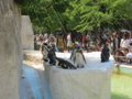 [風景]上野動物園