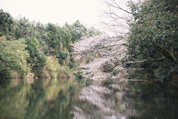f:id:hsaitou:20160402165114j:plain