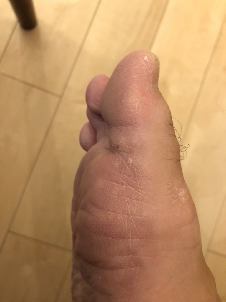 f:id:hsasak:20180705144947j:plain f:id:hsasak:20180705144947j:plain