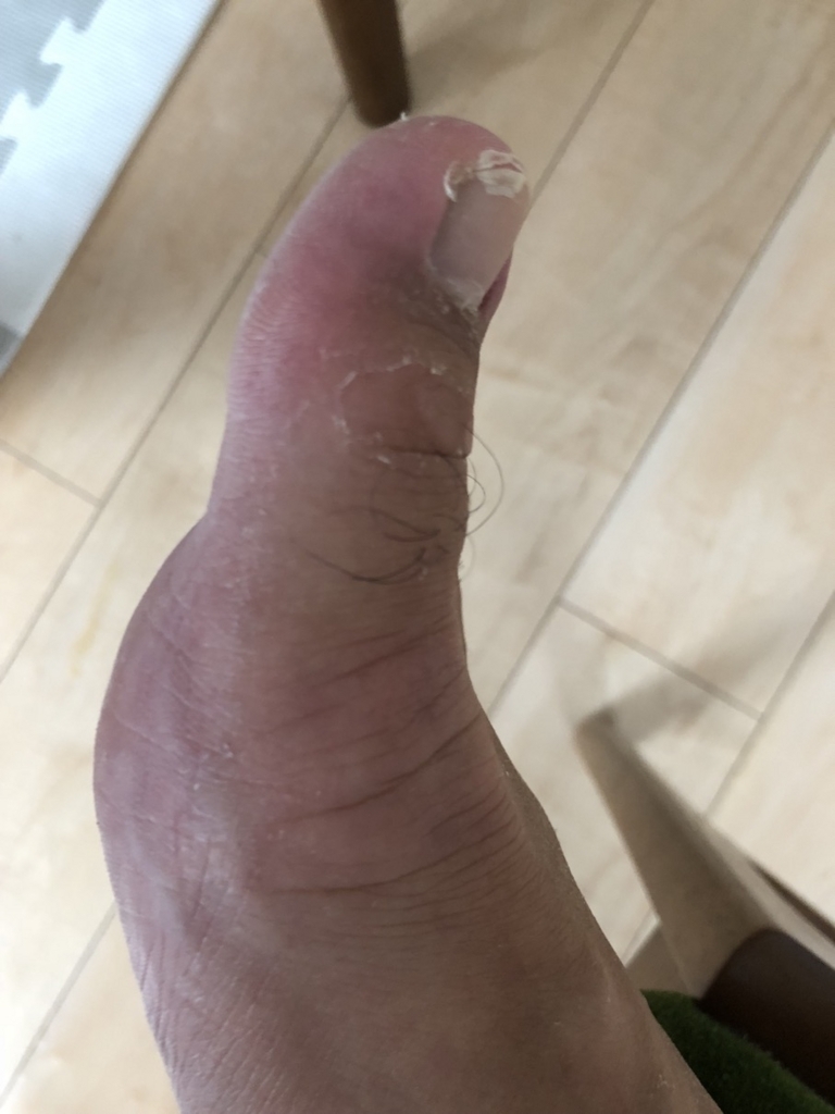 f:id:hsasak:20180705145943j:plain f:id:hsasak:20180705145943j:plain