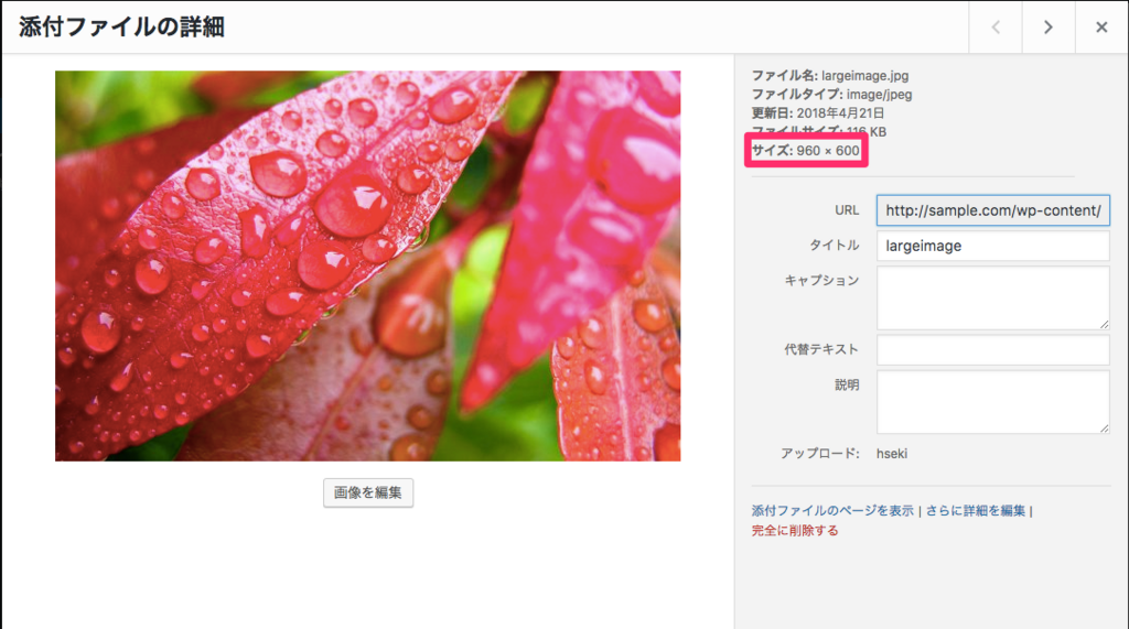 f:id:hseki_luckey:20180421001524p:plain f:id:hseki_luckey:20180421001524p:plain