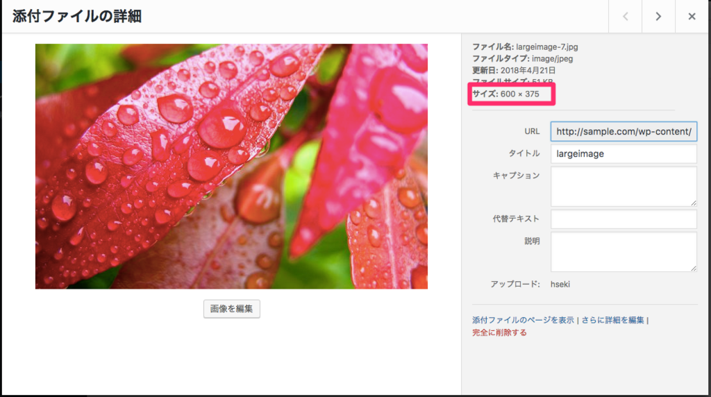 f:id:hseki_luckey:20180421001830p:plain f:id:hseki_luckey:20180421001830p:plain