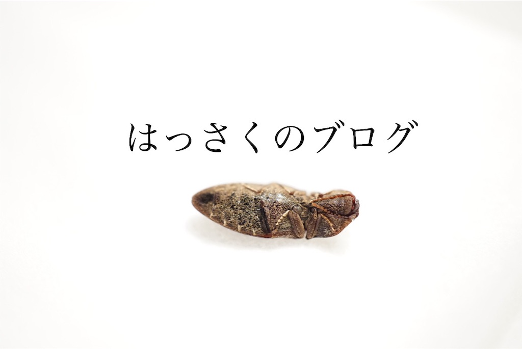 家族が増えたよ Hsk2 S Blog