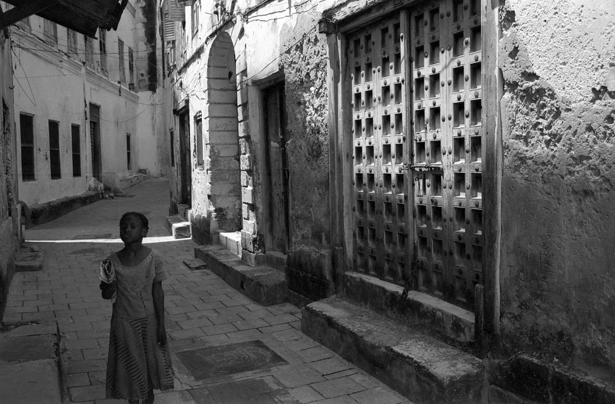 影と陰 奇妙な形の野菜たち