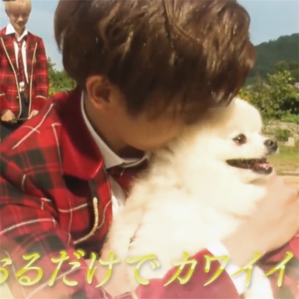 f:id:hsnk2:20200814211521j:image f:id:hsnk2:20200814211521j:image