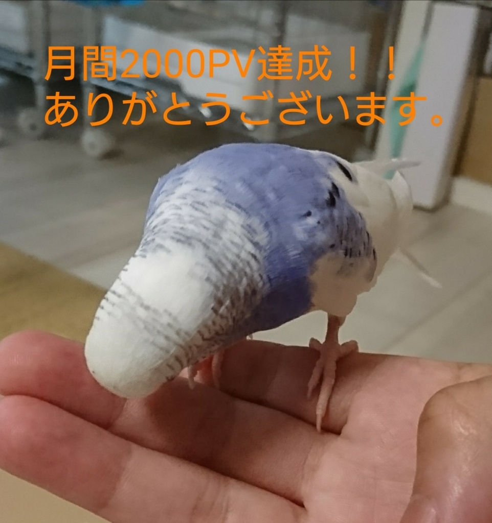 f:id:hsnkisk6082:20170628161558j:plain