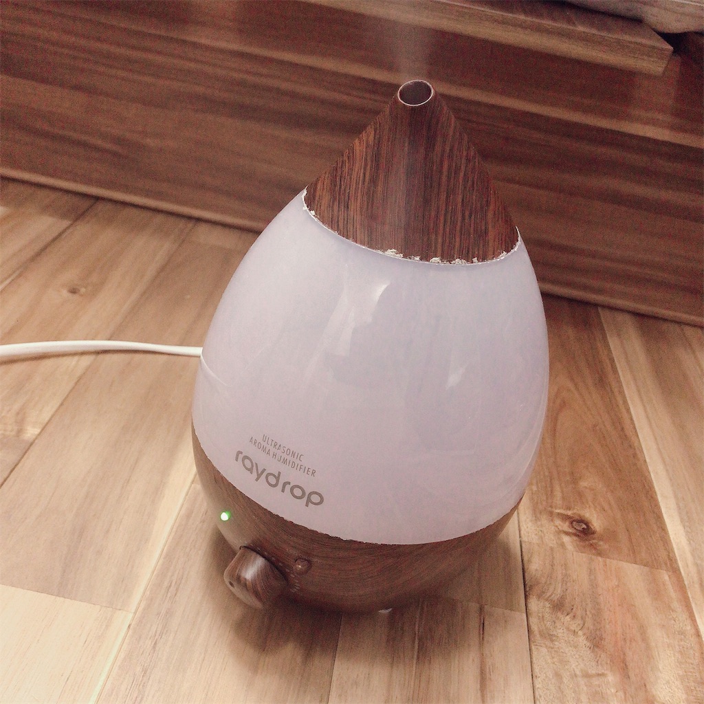 f:id:hsphtrn:20200111072536j:image